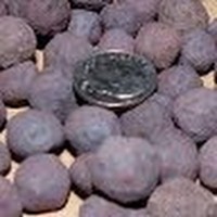 Profile Picture of Rml Pellet (@rml-pellet) on Quora