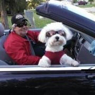 Profile Picture of Dan Bergstresser (@bergstdr) on Twitter