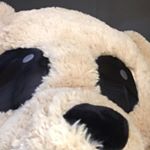 Profile Picture of Luke Dykes (@dykes.luke) on Instagram