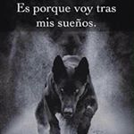 Profile Picture of Eduardo Guillermo Quevedo (@eduardoguillermoquevedo) on Instagram