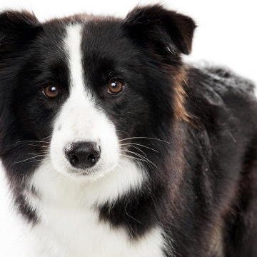 Profile Picture of Alex Clapper (@alexclapper1) on Twitter