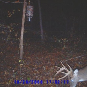 Profile Picture of Bradley Wysong (@bradleywysong123456789) on Myspace