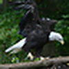 Profile Picture of brian.mensing (@brian.mensing) on Flickr