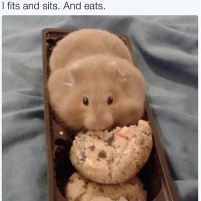 Profile Picture of Seth Bateman (@seth_gerhard721) on Twitter