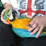 Profile Picture of Patrick Bosch (@kromsnavelkweker) on Instagram