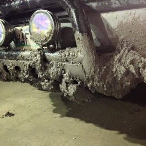 Profile Picture of Brian Hiebert (@Brianbrap901) on Twitter