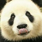 Profile Picture of Adam_Bovell (@adambov_da) on Instagram