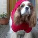 Profile Picture of Tanya Davies (@tanya.davies.142) on Facebook