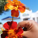 Profile Picture of Mishka Daniels (@Mishka-Daniels) on Facebook