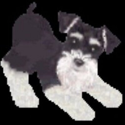 Profile Picture of Morgan Poole (@MorganPoole13) on Twitter