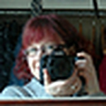 Profile Picture of Sara Case Strickland (@sarathings) on Flickr