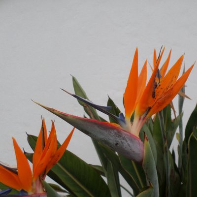 Profile Picture of Agnes Meyer (@0843585504Agnes) on Twitter