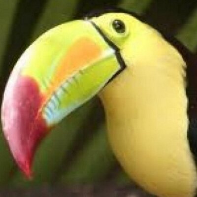 Profile Picture of Richard Englund (@richardenglund) on Twitter