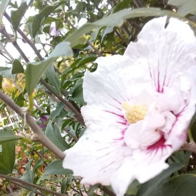 Profile Picture of John Klopper (@klopper_john) on Twitter