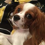 Profile Picture of Jake Leahy (@jake._.leahy) on Instagram