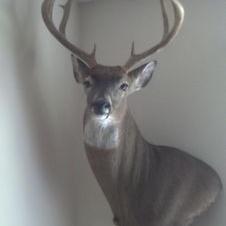 Profile Picture of Brian Shedd (@bmshedd) on Twitter