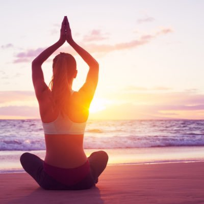 Profile Picture of Tess Kelly (@dukesave) on Twitter