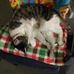 Profile Picture of Jodi Baumgartner (@jodi.baumgartner.355) on Facebook