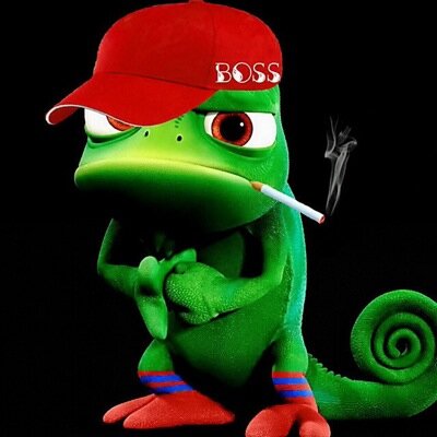 Profile Picture of Devin Jacob Stitt (@stitty_D3v1n) on Twitter