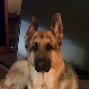 Profile Picture of Mitzi Crow (@mitzicrow8742) on Youtube