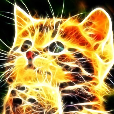 Profile Picture of Gavin Peterman (@Cranuimkillers3) on Twitter