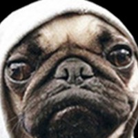 Profile Picture of Thomas Biel (@thomas-biel-1) on Quora