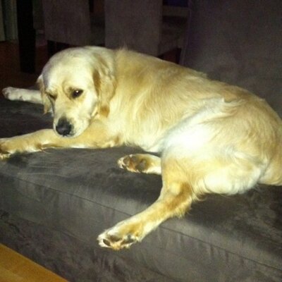 Profile Picture of Damian Clark (@damianclark5) on Twitter