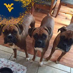 Profile Picture of Debbie Wills McGraw (@debbiewillsmcgraw) on Tiktok