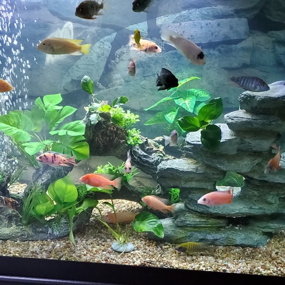 Profile Picture of Rocio Jaramillo (@rj08291993) on Poshmark