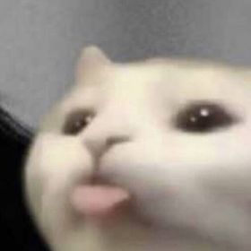 Profile Picture of Terra Johnson (@imterrajohnson) on Pinterest