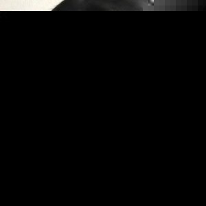 Profile Picture of Sam Mclovin (@zumbatime) on Myspace