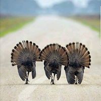 Profile Picture of Mariah Deike (@mariah-deike) on Quora