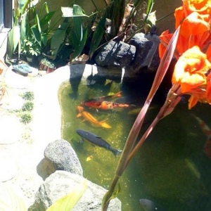 Profile Picture of Faye Inoue (@theauntyfaye) on Myspace