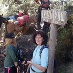 Profile Picture of Shannon Royals (@shannonroyals) on Instagram