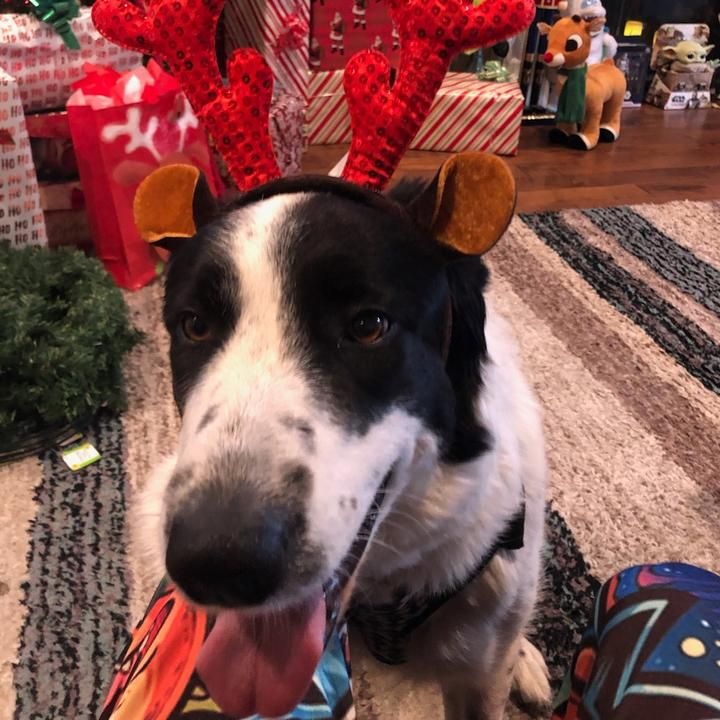 Profile Picture of Karen.Blevins (@karenblevinsxpwidb) on Tiktok