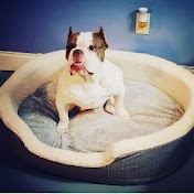 Profile Picture of Ariel Dunn (@arieldunn8228) on Youtube