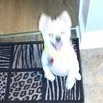 Profile Picture of Claude Squire (@squireclaude) on Instagram