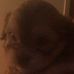 Profile Picture of Renee Pace (@renee.pace.733) on Facebook