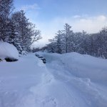 Profile Picture of Cameron Slorach (@cslorach) on Instagram