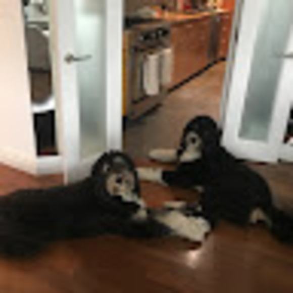 Profile Picture of Julia Genovese (@juliagenovese14) on Poshmark