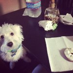 Profile Picture of Sean Bellamy (@tollemo) on Instagram