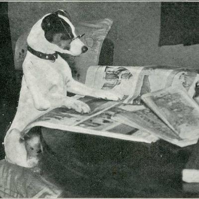 Profile Picture of Jeremy Olds (@jeremyolds) on Twitter