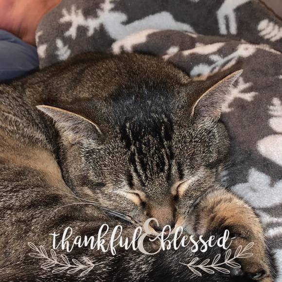 Profile Picture of Pauline Ceniceros (@p_ceniceros) on Poshmark