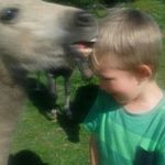 Profile Picture of Miranda Conner (@mconner35) on Instagram