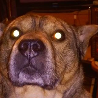 Profile Picture of Scott Blevins (@Scott-Blevins) on Facebook