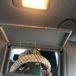 Profile Picture of Kin Ryan Tisse (@reelparko) on Instagram