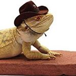Profile Picture of Dalton Pritchett (@yeetboi1236) on Instagram