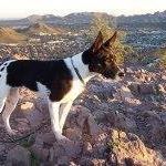 Profile Picture of Travis Walsh (@travis.walsh.54) on Facebook