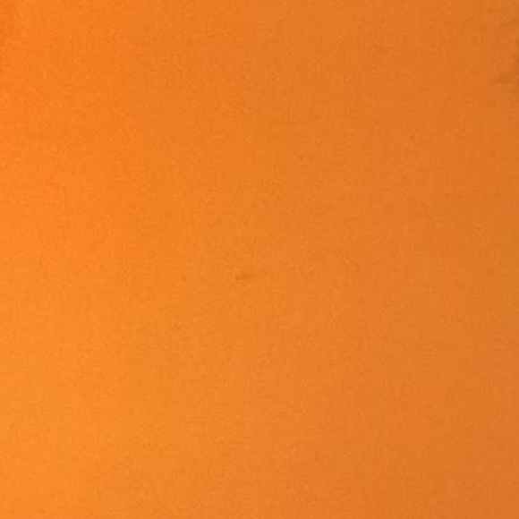 Profile Picture of Sophia Franklin (@0sopia) on Poshmark