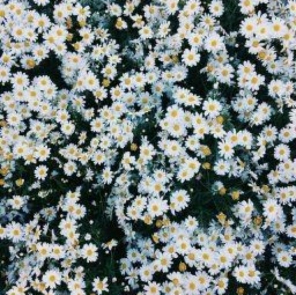 Profile Picture of Libby Lyons (@libbylou45) on Poshmark